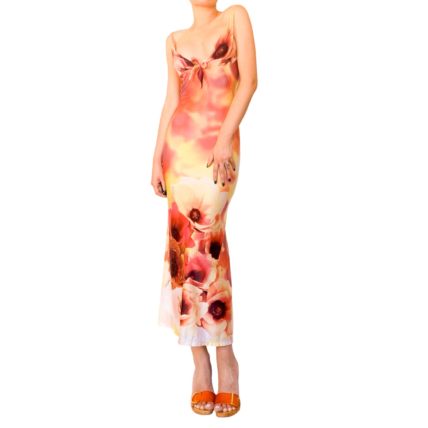 Roberto Cavalli 2002 Poppies Iconic Dress - runway