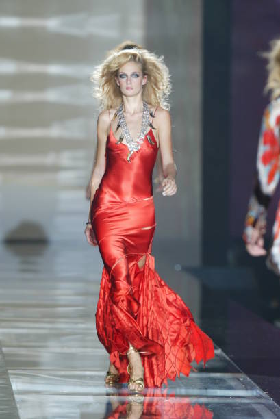 Roberto Cavalli S/S 2004 silk runway dress