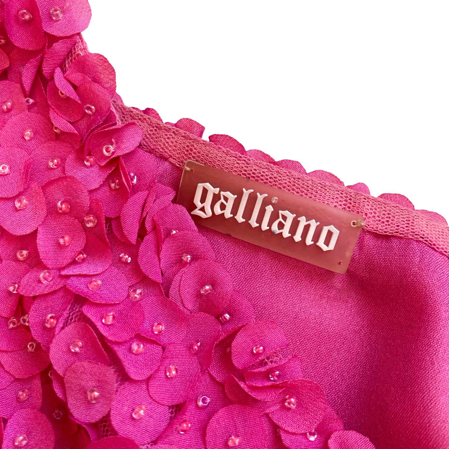 Galliano S/S 2011  petals ombré dress - Campaign