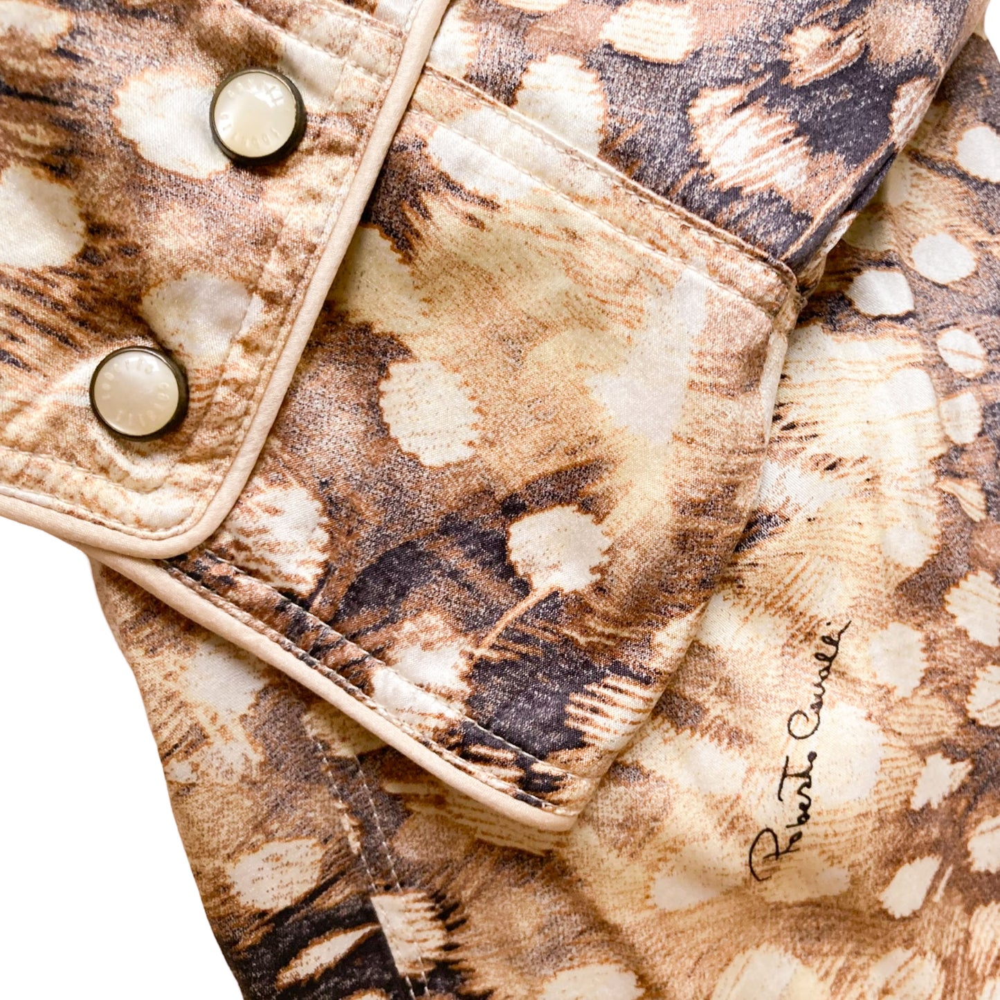 Roberto Cavalli S/S 2004 silk feather print dress - runway