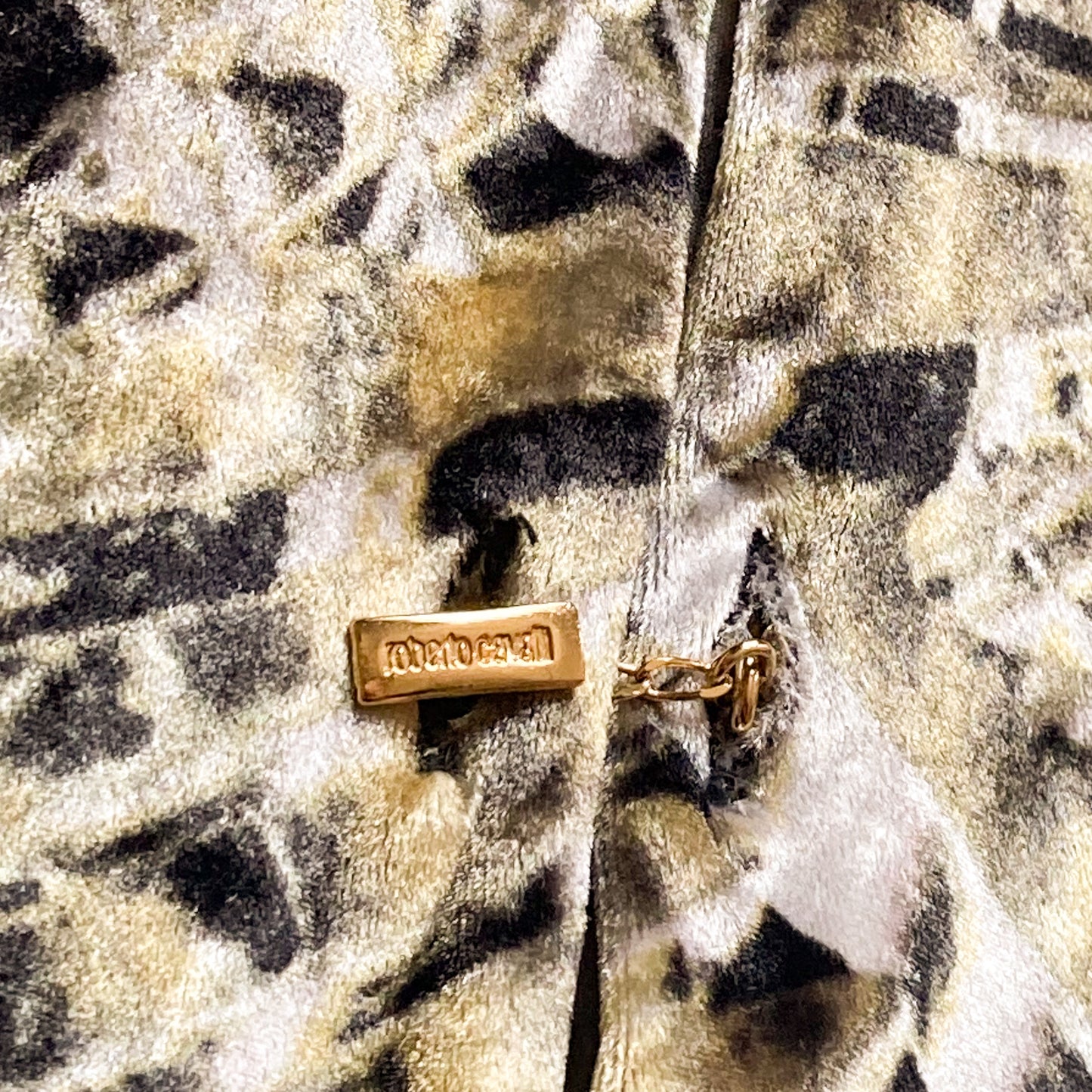 Roberto Cavalli S/S 2001 Fractal Velvet Set