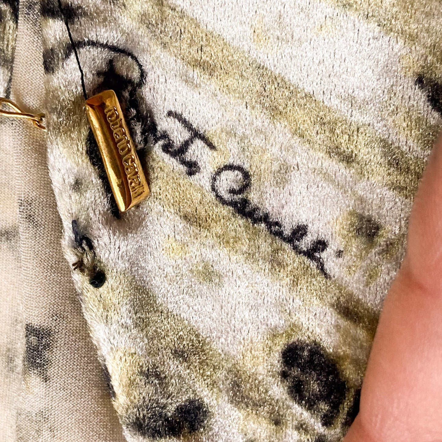 Roberto Cavalli S/S 2001 Fractal Velvet Set