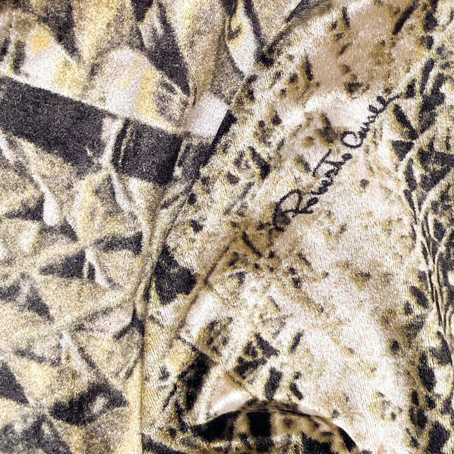 Roberto Cavalli S/S 2001 Fractal Velvet Set