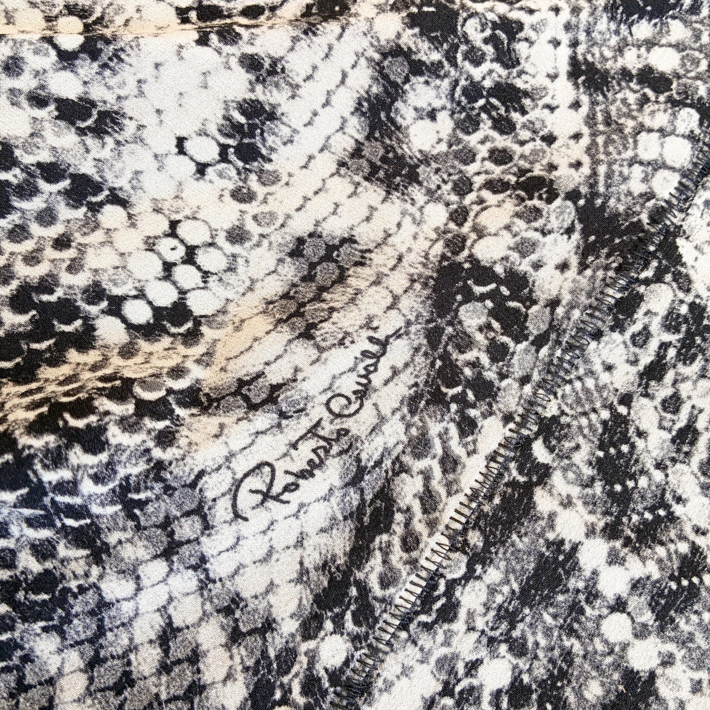 Roberto Cavalli 2003 silk set - runway