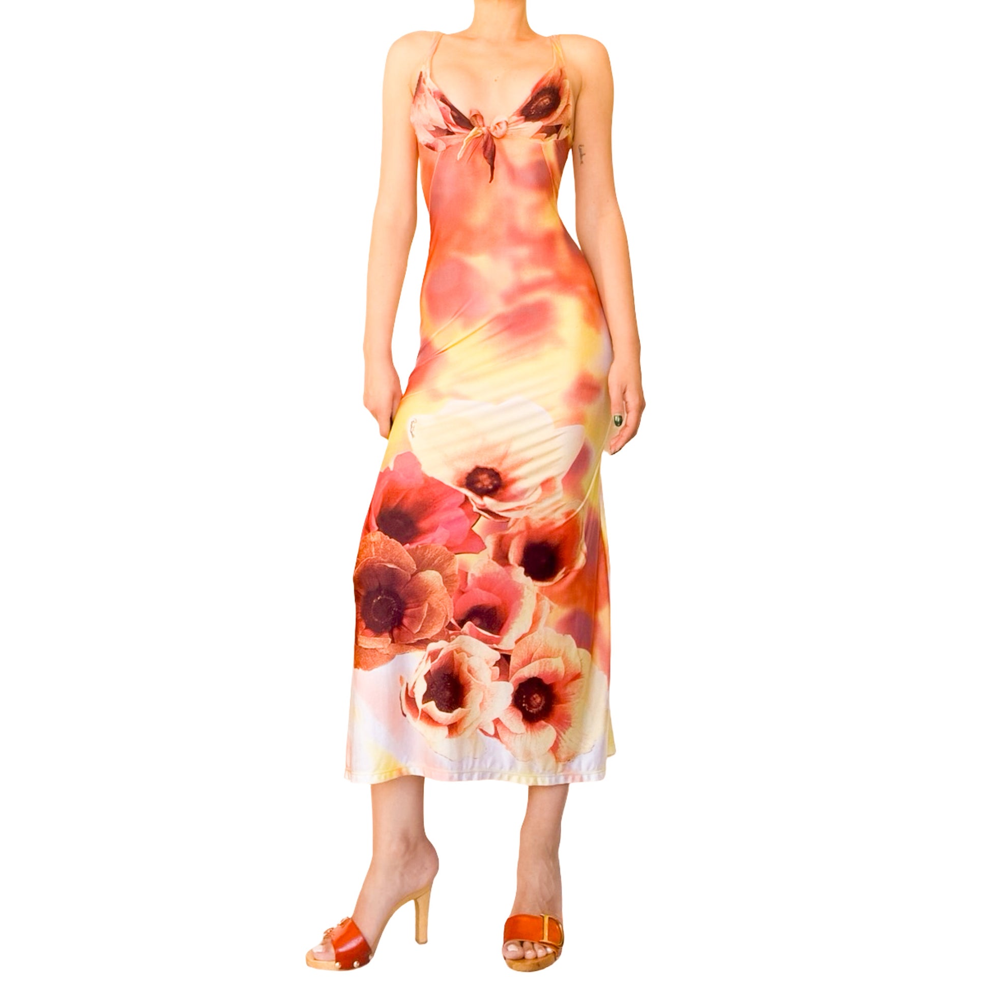 Roberto Cavalli 2002 Poppies Iconic Dress - runway InLouve Roberto Cavalli 2002 Poppies Iconic Dress - runway InLouve