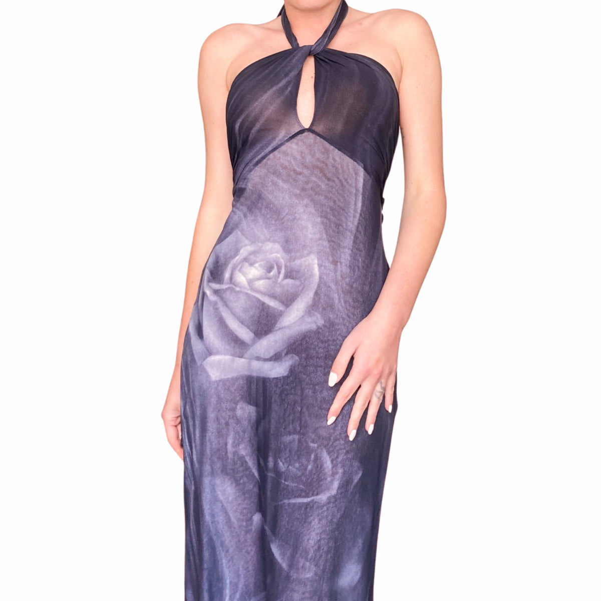 Roberto Cavalli 2000 Smoke & Roses Gown