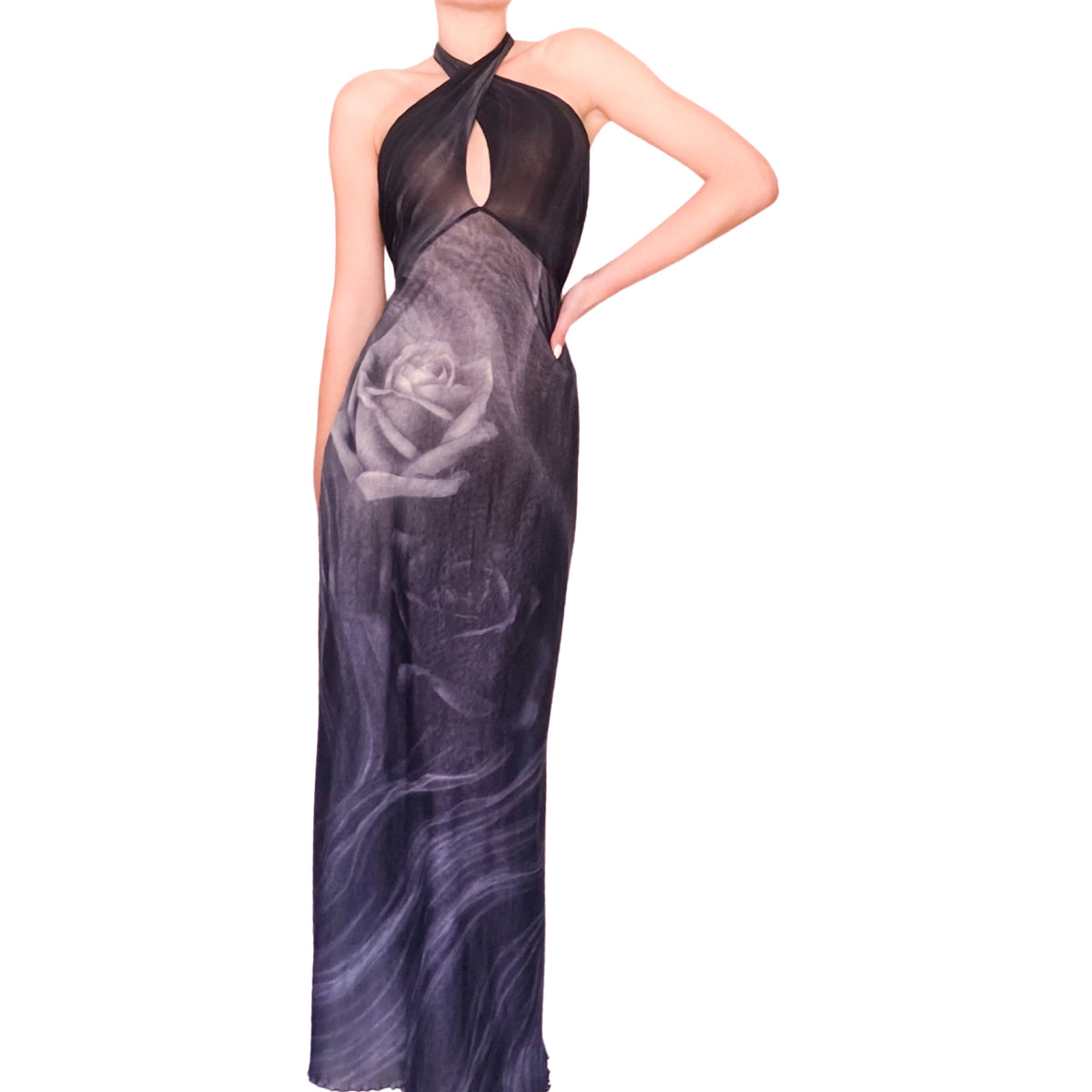 Roberto Cavalli 2000 Smoke & Roses Gown