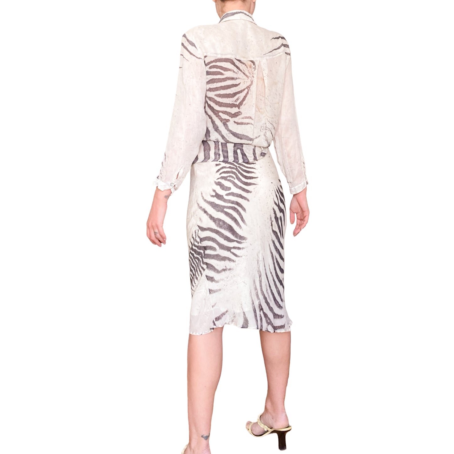 Roberto Cavalli S/S 1999 runway zebra set