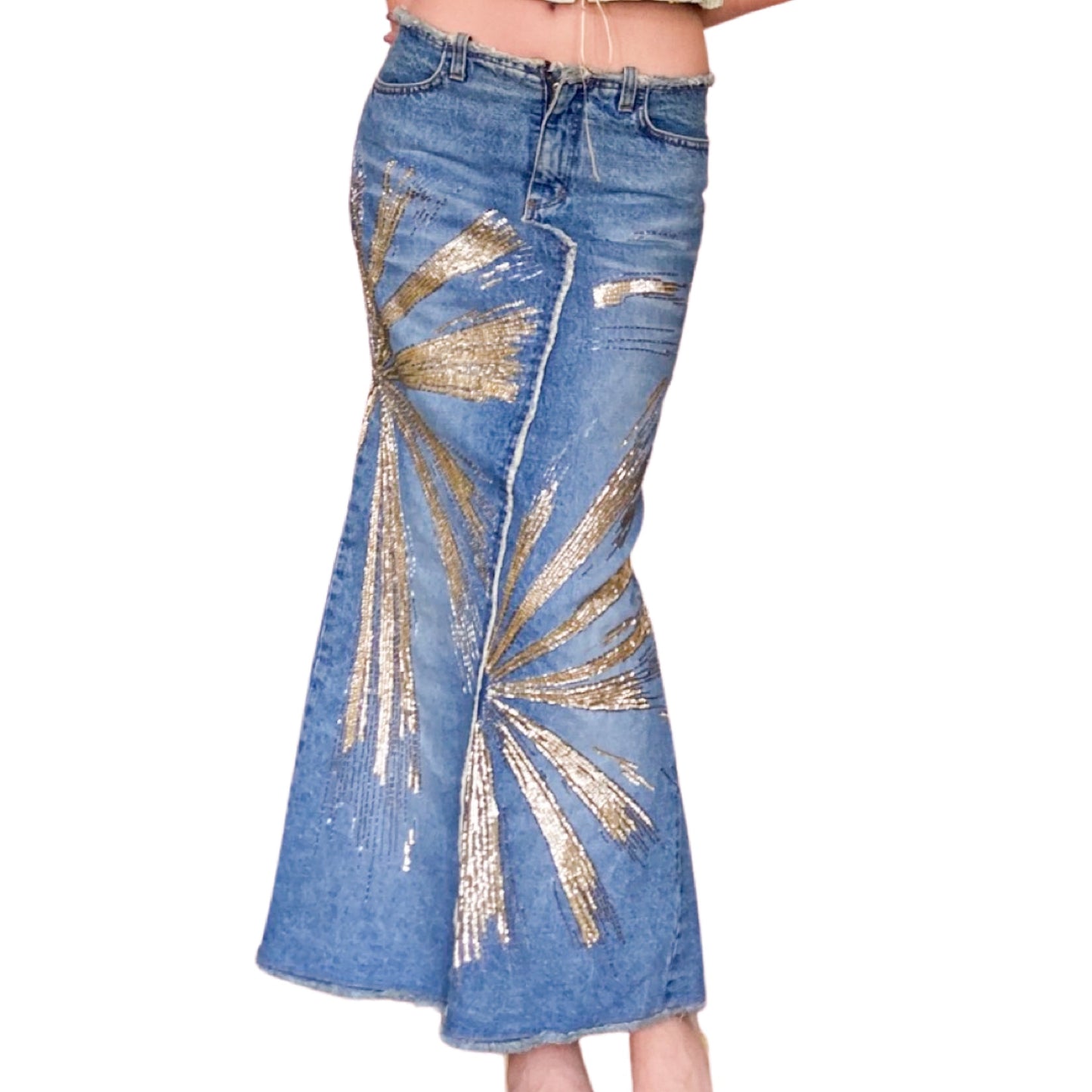 Roberto Cavalli S/S 2001 Maxi Denim Skirt