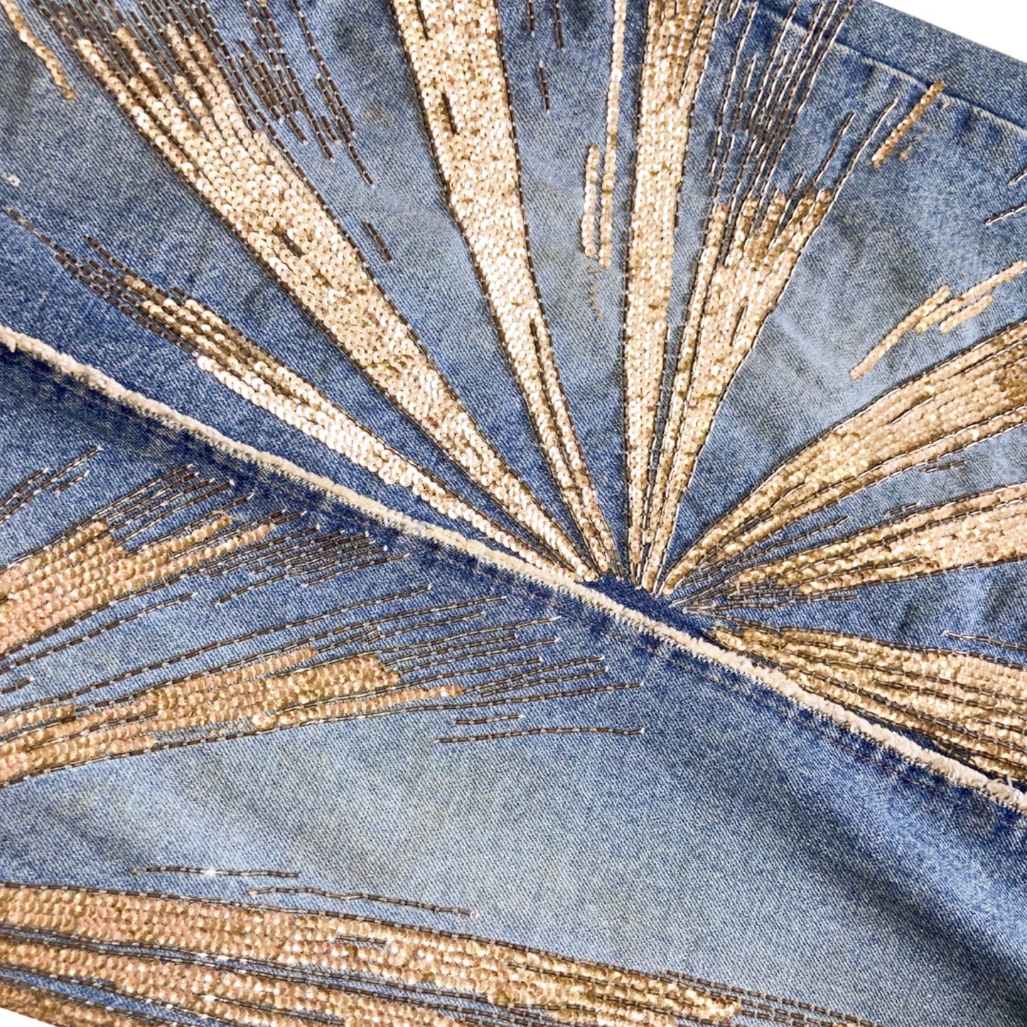 Roberto Cavalli S/S 2001 Maxi Denim Skirt